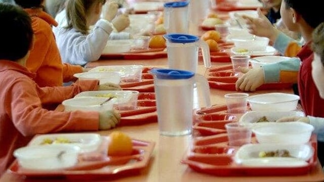 Insetti, muffe ed escrementi nelle mense scolastiche: raffica di denunce