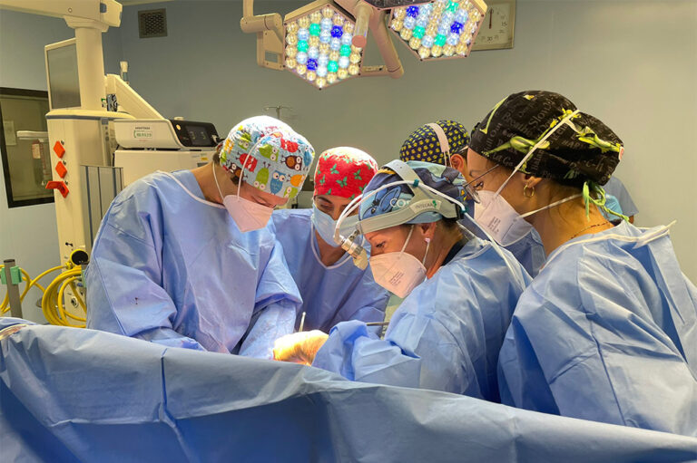 Umiliati da tagli, stangate e dagli evasori fiscali: il 5 dicembre sciopero dei medici