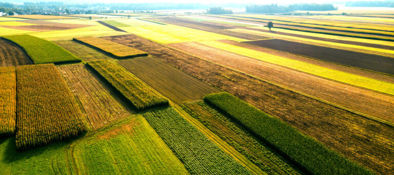 AGRICOLTURA / Cibo e ambiente: le risposte in Europa – documentari arte.tv