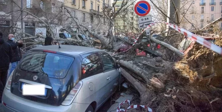 IL TEMPO / Venti freddi dalla Svezia, in Italia è tornato l’inverno