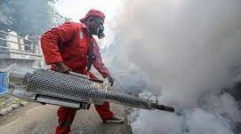 FERRARA / Un caso di Dengue, attivata la disinfestazione antizanzare