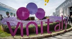 VERONA / Al Vinitaly due novità: il NoLo (alcol ridotto o nullo) e i vini in anfore