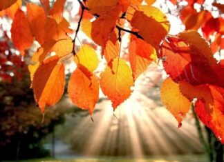 IL TEMPO / L’estate di San Martino porterà sole e temperature miti