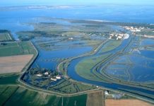 La ritirata dei Lidi Ferraresi