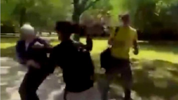 PARMA / Due professori aggrediti nel parco da una gang di studenti – Il video diffuso in Rete – Le reazioni