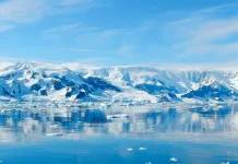 Anche in Antartide fa caldo (15,4 gradi), gli scienziati temono il collasso climatico