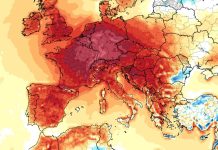 IN EMILIA la terza ondata di caldo / MEDITERRANEO, scatta l’allarme per l’arrivo del pesce palla