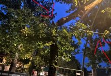 FERRARA E L’EMILIA flagellate dal vento e dai nubifragi – vd / Traffico bloccato sull’A13: 8 chilometri di coda