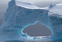 GIGANTESCO iceberg si stacca in Groenlandia: isola di ghiaccio grande come Manhattan, spessa 150 metri