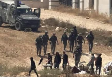 DUE FAMIGLIE palestinesi assediate dai coloni israeliani. Allontanati 5 italiani. L’ambasciatore Usa: “E’ terrorismo”