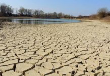 IL DESERTO DEL PO