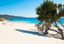 ESTATE 2026 “MORDI E FUGGI” / Spiagge meno affollate, prezzi alle stelle e vandali scatenati nella notte