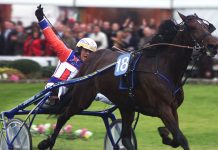 FERRARA / La morte a 31 anni di Varenne, cavallo simbolo del trotto che conquistò l’Italia e il mondo