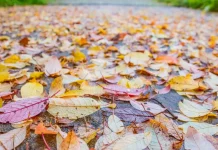 ARRIVA L’AUTUNNO