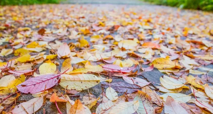 autunno