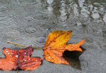 IL TEMPO della settimana / Tornano le piogge intense, l’autunno si fa sentire